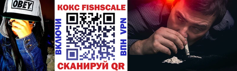 даркнет сайт Бердск Cocaine Fish Scale