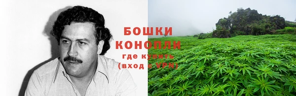 спиды Алзамай